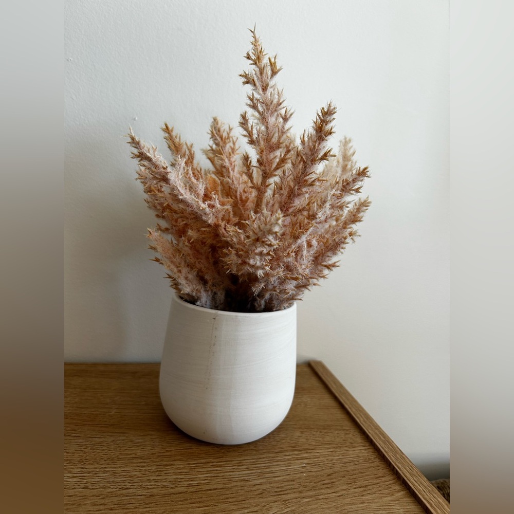 Elegant Cream Vase with pink Pampas Grass